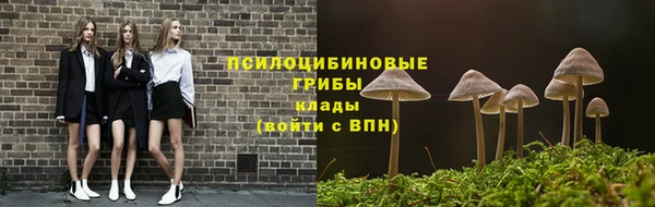a pvp Алексеевка