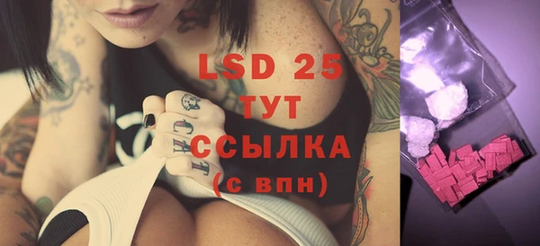 ГАЛЛЮЦИНОГЕННЫЕ ГРИБЫ Алексин