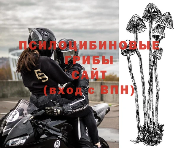 ГАЛЛЮЦИНОГЕННЫЕ ГРИБЫ Алексин