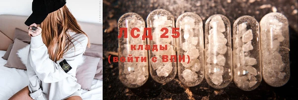 ГАЛЛЮЦИНОГЕННЫЕ ГРИБЫ Алексин
