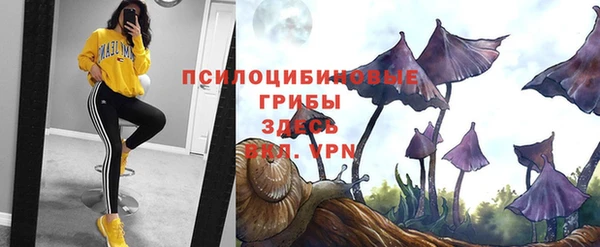 a pvp Алексеевка